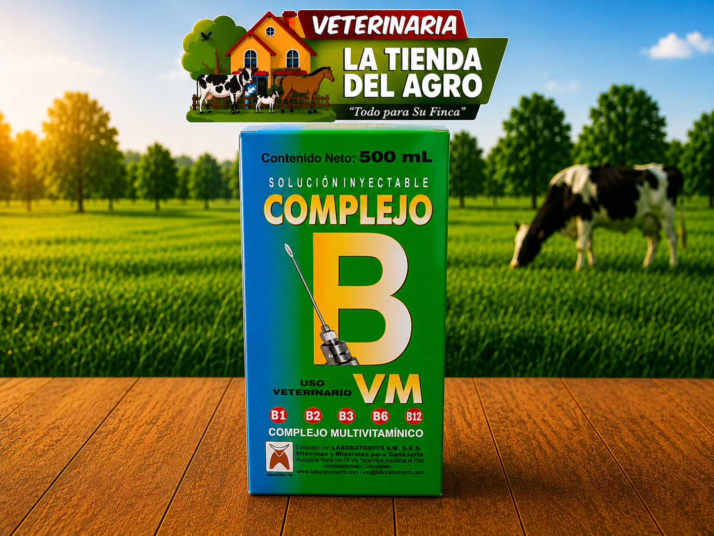 COMPLEJO B 